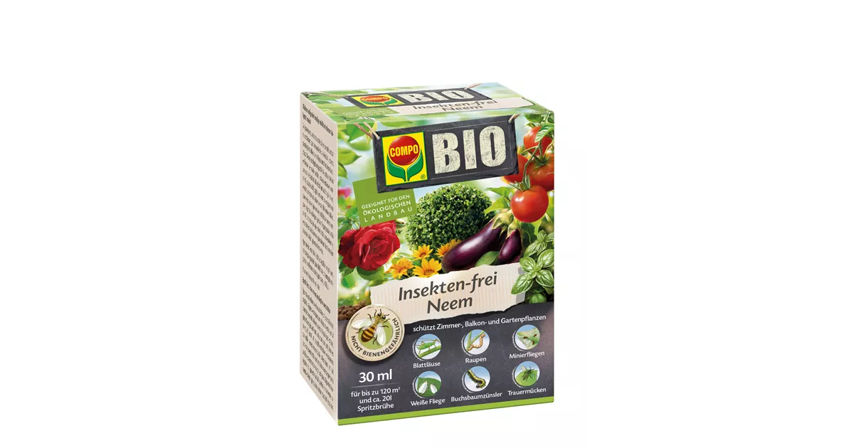 gekeimte brokkolisamen bio Gekeimte Ur-Brokkoli Samen ✓ Brokkolisprossen main image 0