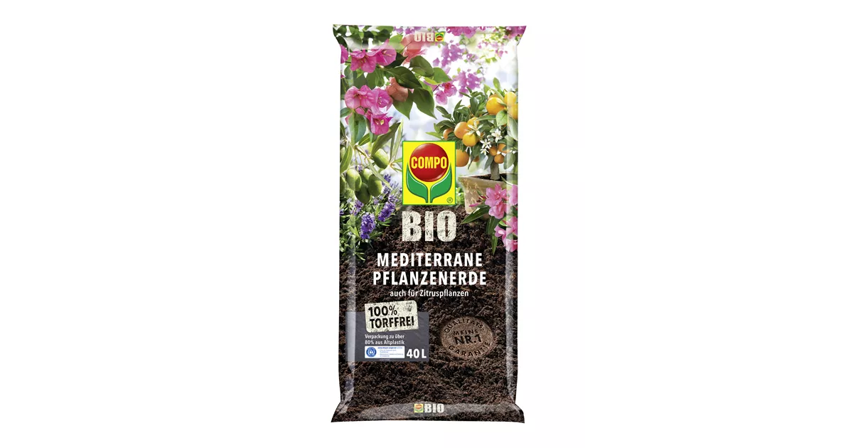 künstliche bäume 180 cm Künstlicher Olivenbaum 180cm schnell günstig online kaufen main image 0