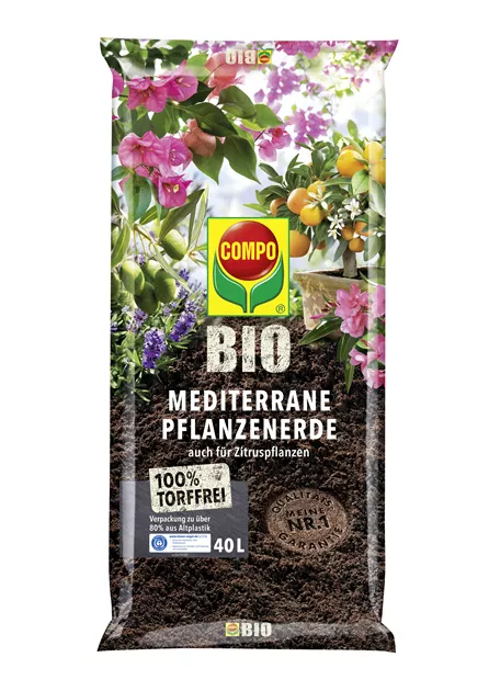 saatgut paket Saatgut Box Gartenjahr von Rankwerk