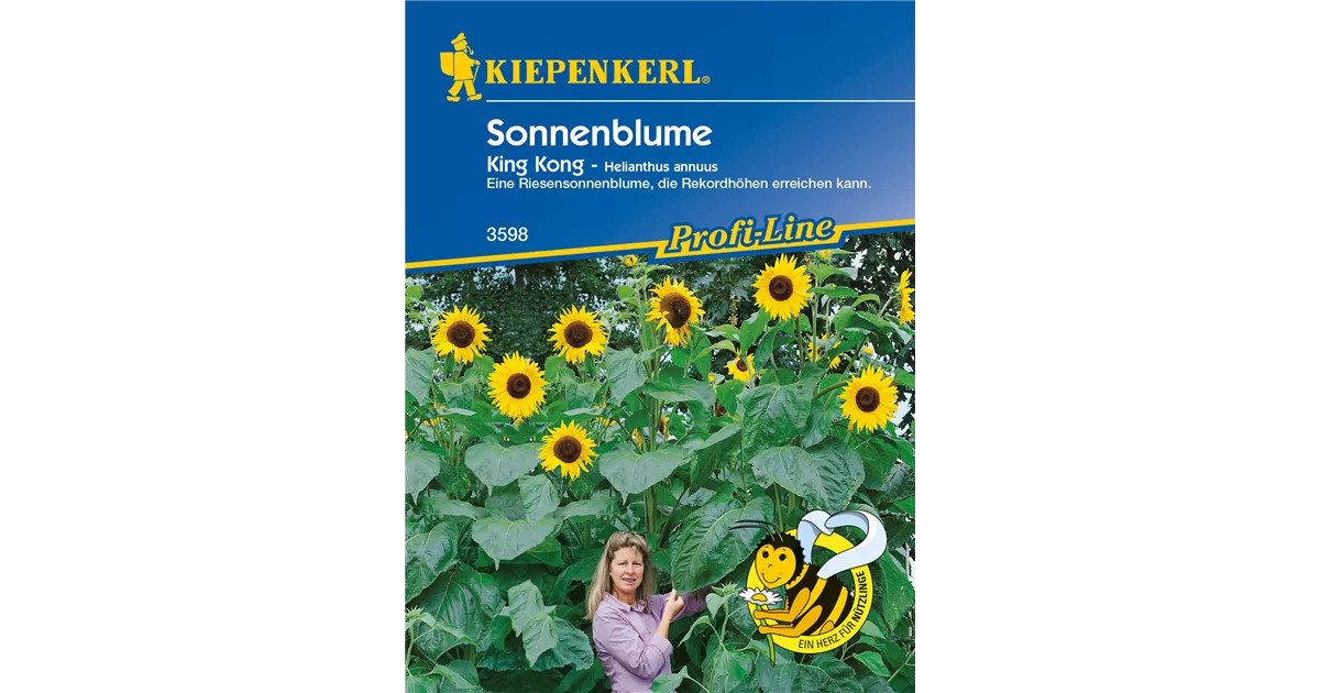 Sonnenblume 'King Kong', Helianthus annuus 'King Kong
