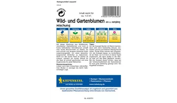 Bildvorschau