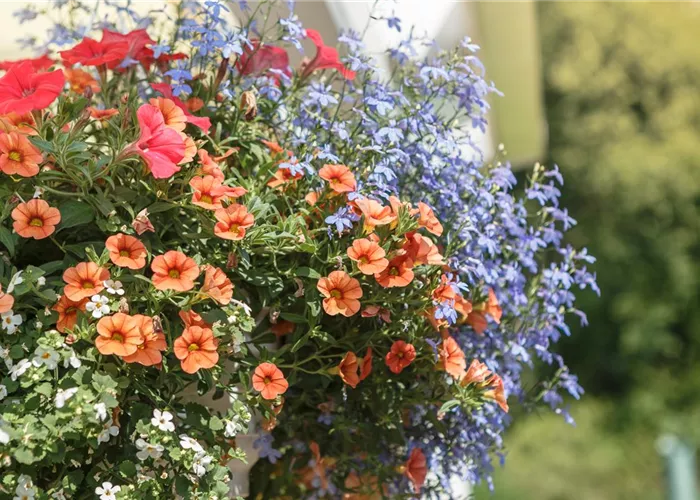 Urban Gardening – Blumenampel aus Konservendosen